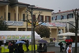 Carnevale 2011 (12)