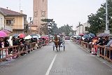 Carnevale 2011 (27)