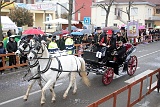 Carnevale 2011 (29)