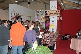 Expo-2008 (146)