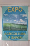 Expo-2008 (2)