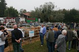 Campo Fiera (11)