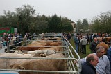 Campo Fiera (12)