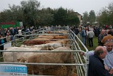 Campo Fiera (13)