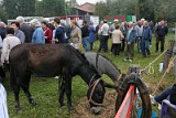 Campo Fiera (19)