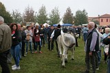 Campo Fiera (29)