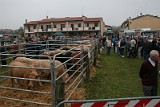 Campo Fiera (31)