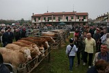 Campo Fiera (32)