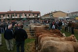 Campo Fiera (33)