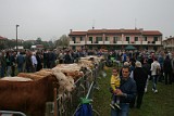 Campo Fiera (34)