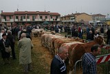 Campo Fiera (35)