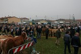 Campo Fiera (36)