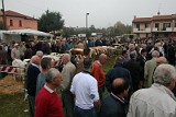 Campo Fiera (37)