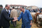 Campo Fiera (45)