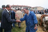 Campo Fiera (46)