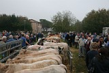 Campo Fiera (5)