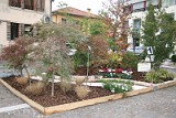 Premiazione-Giardini (12)